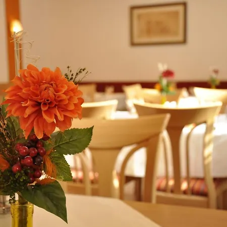 Hotel Zum Goldenen Lamm